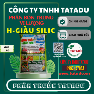 H GIAU SILIC