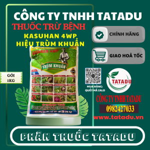 KASUHAN 4WP HIEU TRUM KHUAN