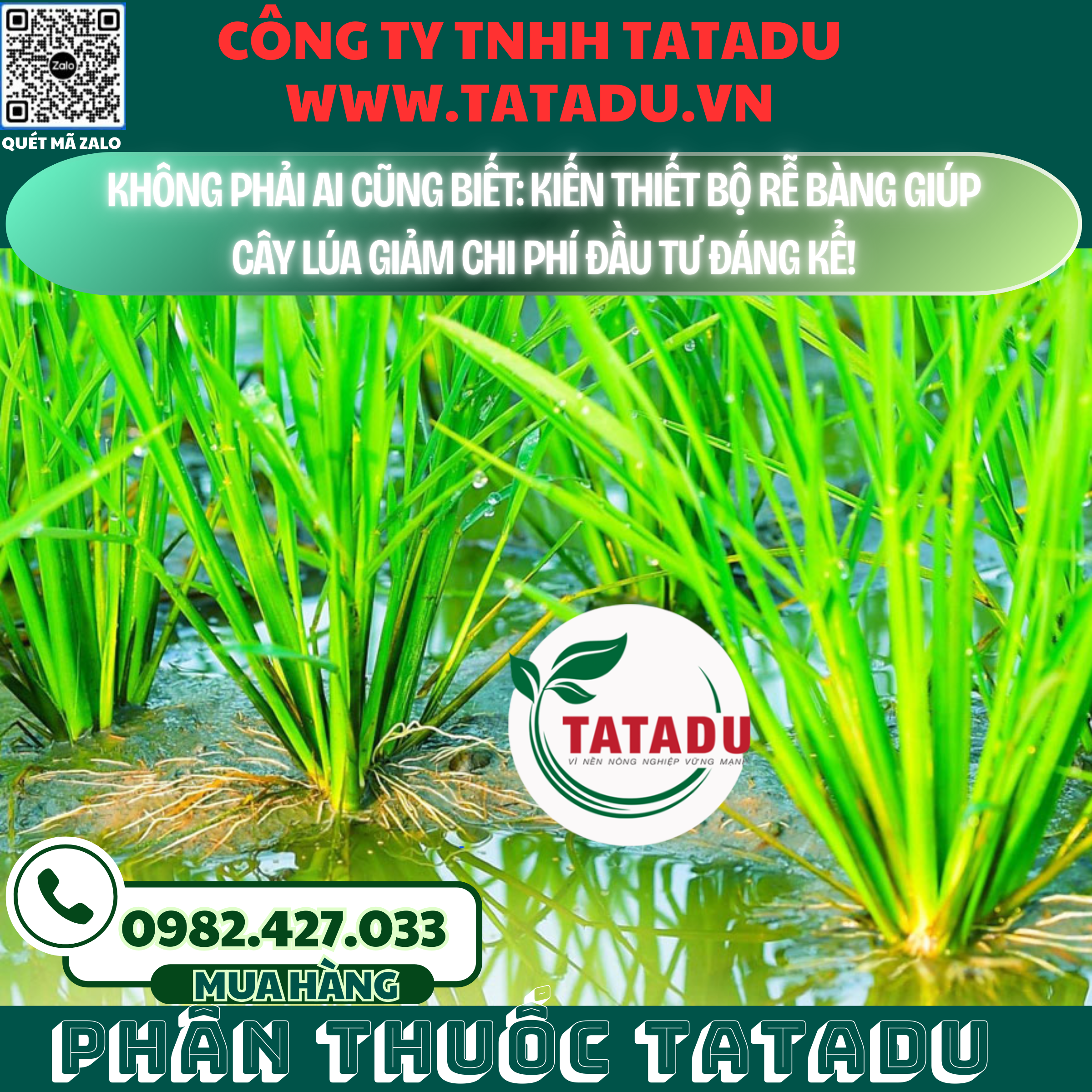 KHONG PHAI AI CUNG BIET KIEN THIET BO RE BANG GIUP CAY LUA GIAM CHI PHI DAU TU DANG KE