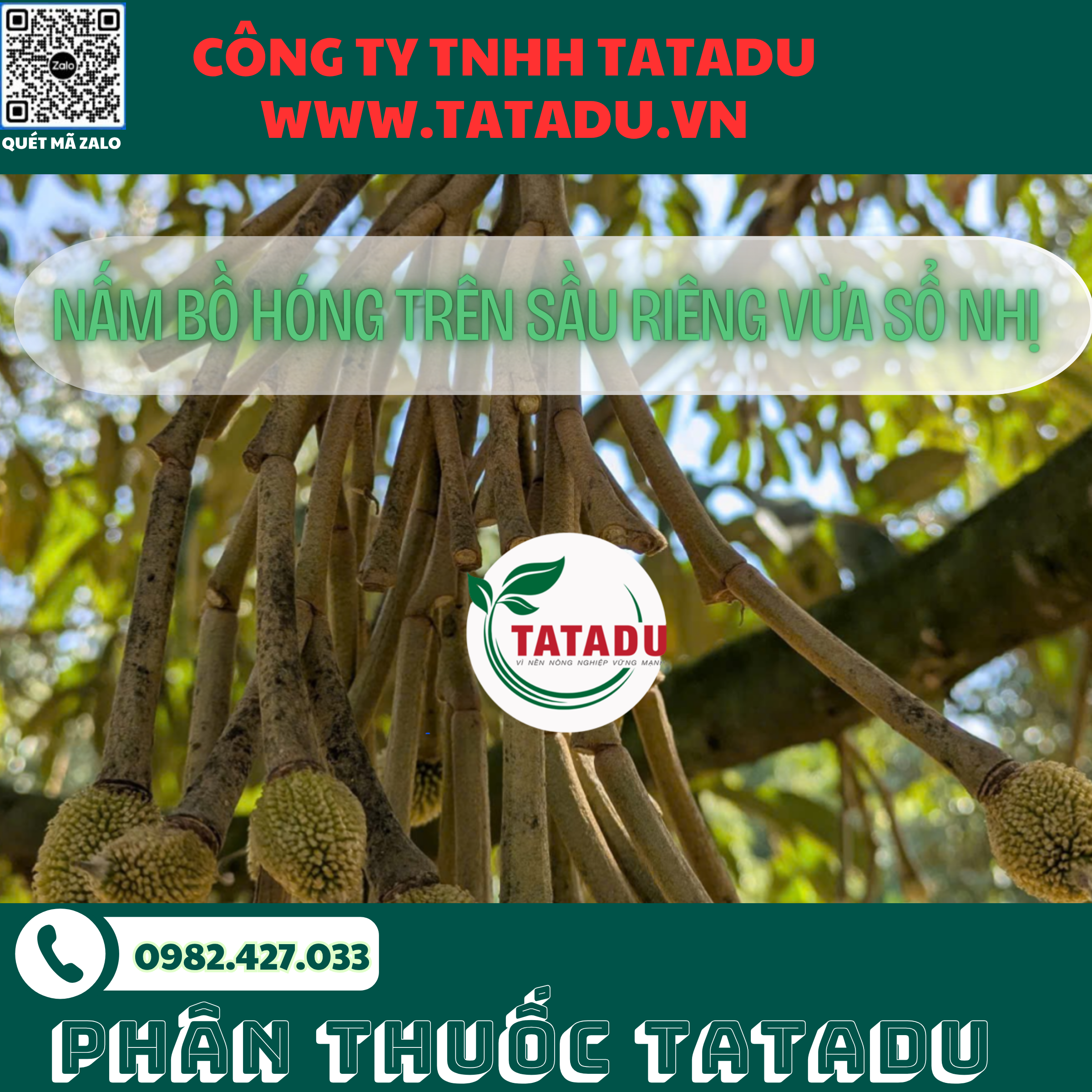 NAM BO HONG TREN SAU RIENG VUA SO NHI NHAN DIEN NGUYEN NHAN CACH KHAC PHUC