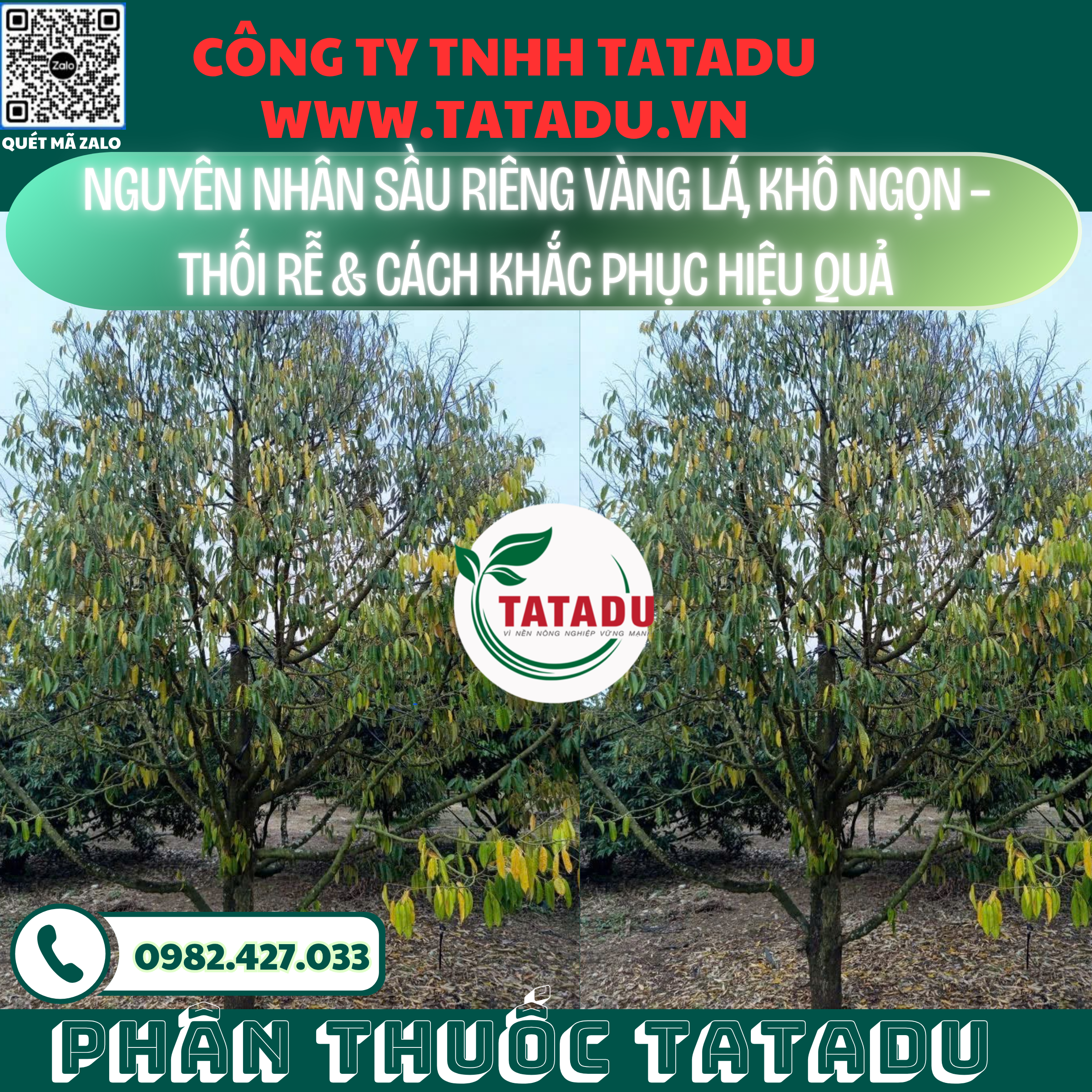 NGUYEN NHAN SAU RIENG VANG LA KHO NGON – THOI RE CACH KHAC PHUC HIEU QUA