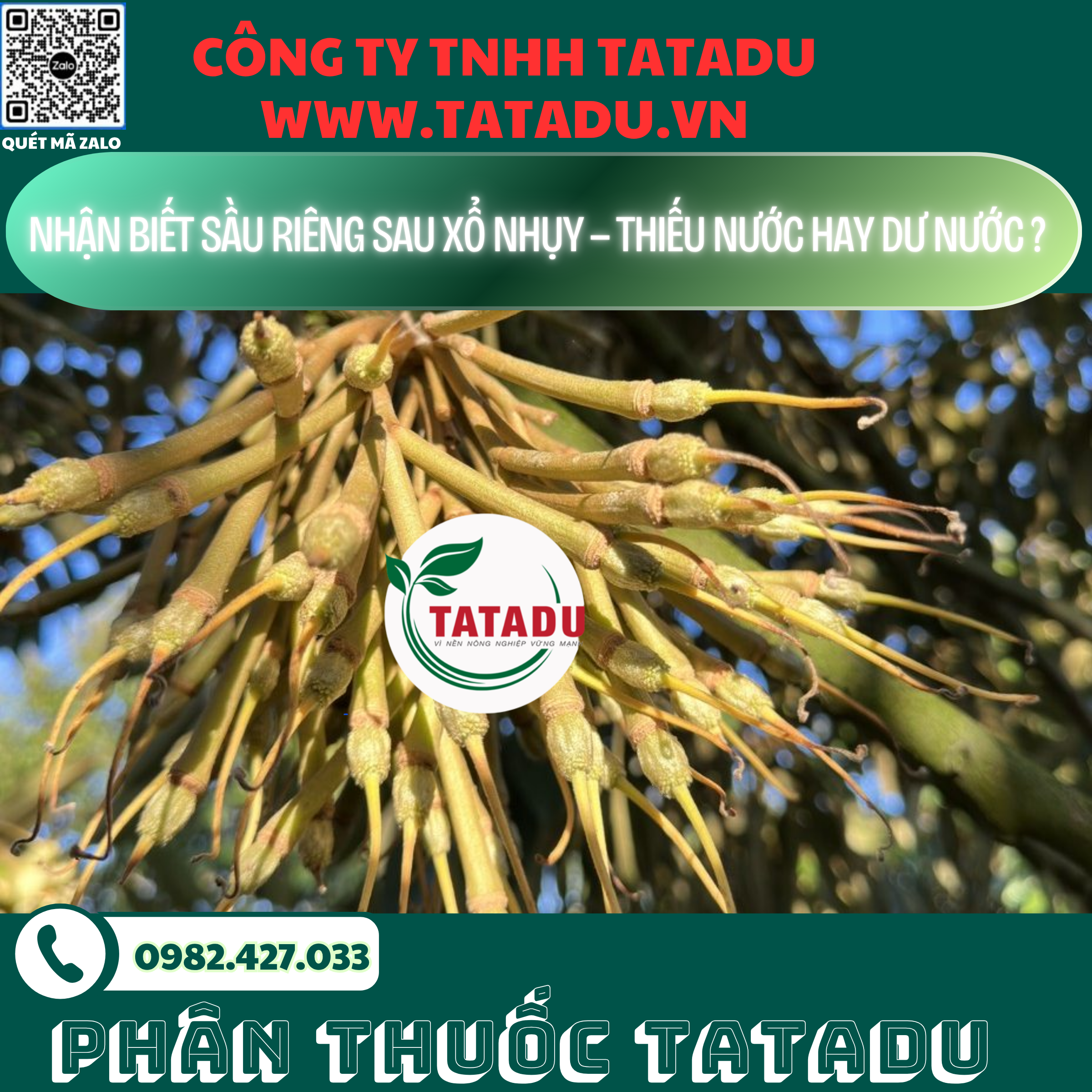 NHAN BIET SAU RIENG SAU XO NHUY — THIEU NUOC HAY DU NUOC