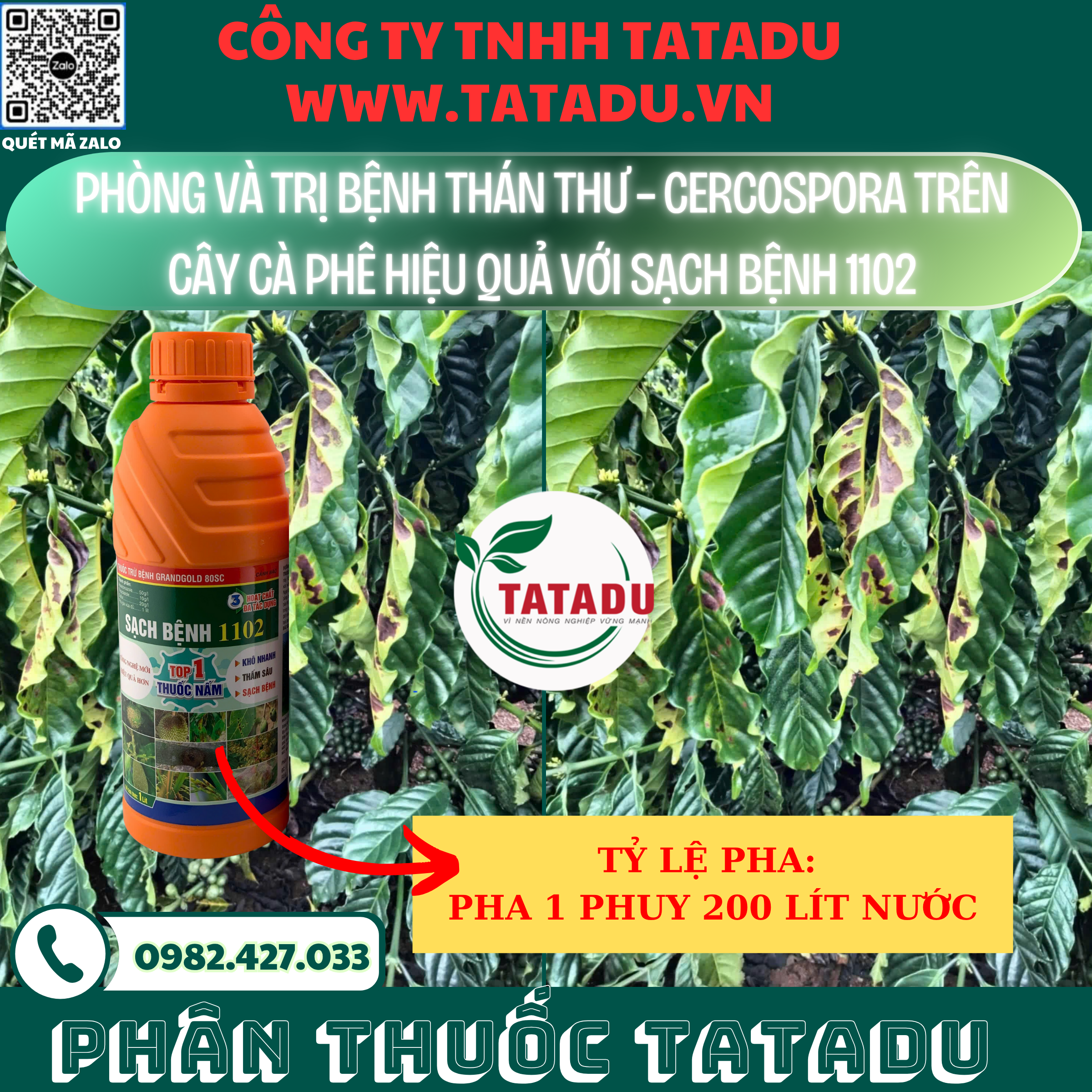 PHONG VA TRI BENH THAN THU – CERCOSPORA TREN CAY CA PHE HIEU QUA VOI SACH BENH 1102