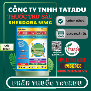 SHERDOBA 55WG GOI 100GR