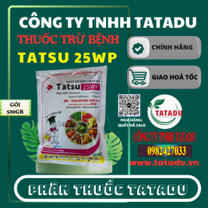 TATSU 25WP BMC