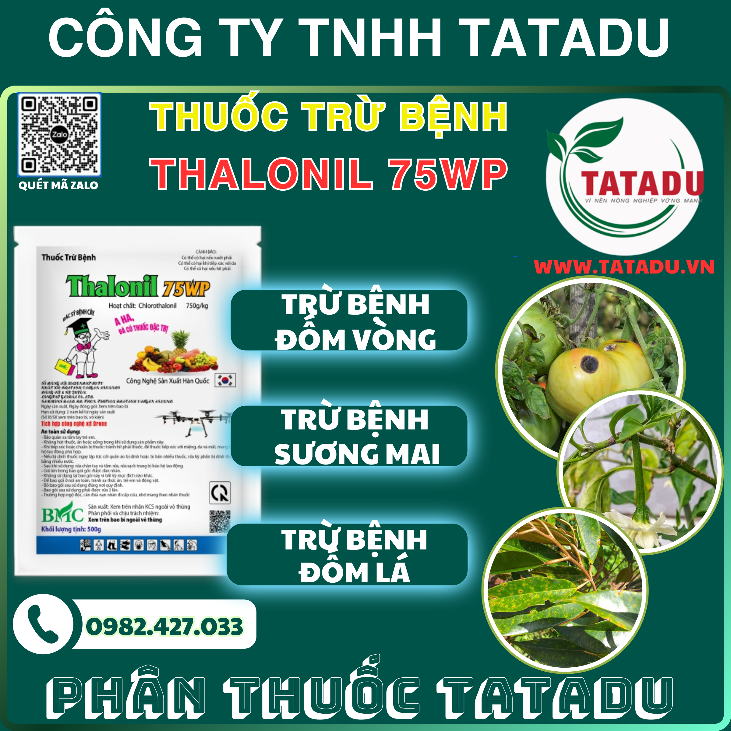THALONIL 75WP TRU BENH DOM VONG SUONG MAI DOM LA THALONIL 75WP TRU BENH DOM VONG SUONG MAI DOM LA