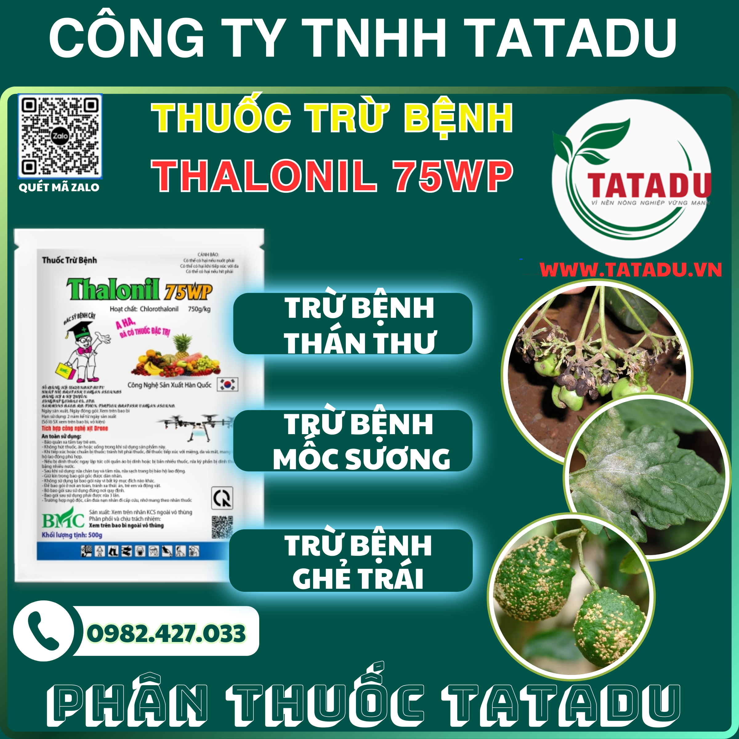 THALONIL 75WP TRU BENH THAN THU MOC SUONG GHE TRAI THALONIL 75WP TRU BENH THAN THU MOC SUONG GHE TRAI