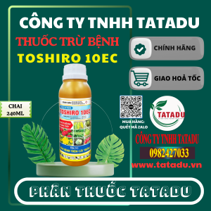 TOSHIRO 10EC