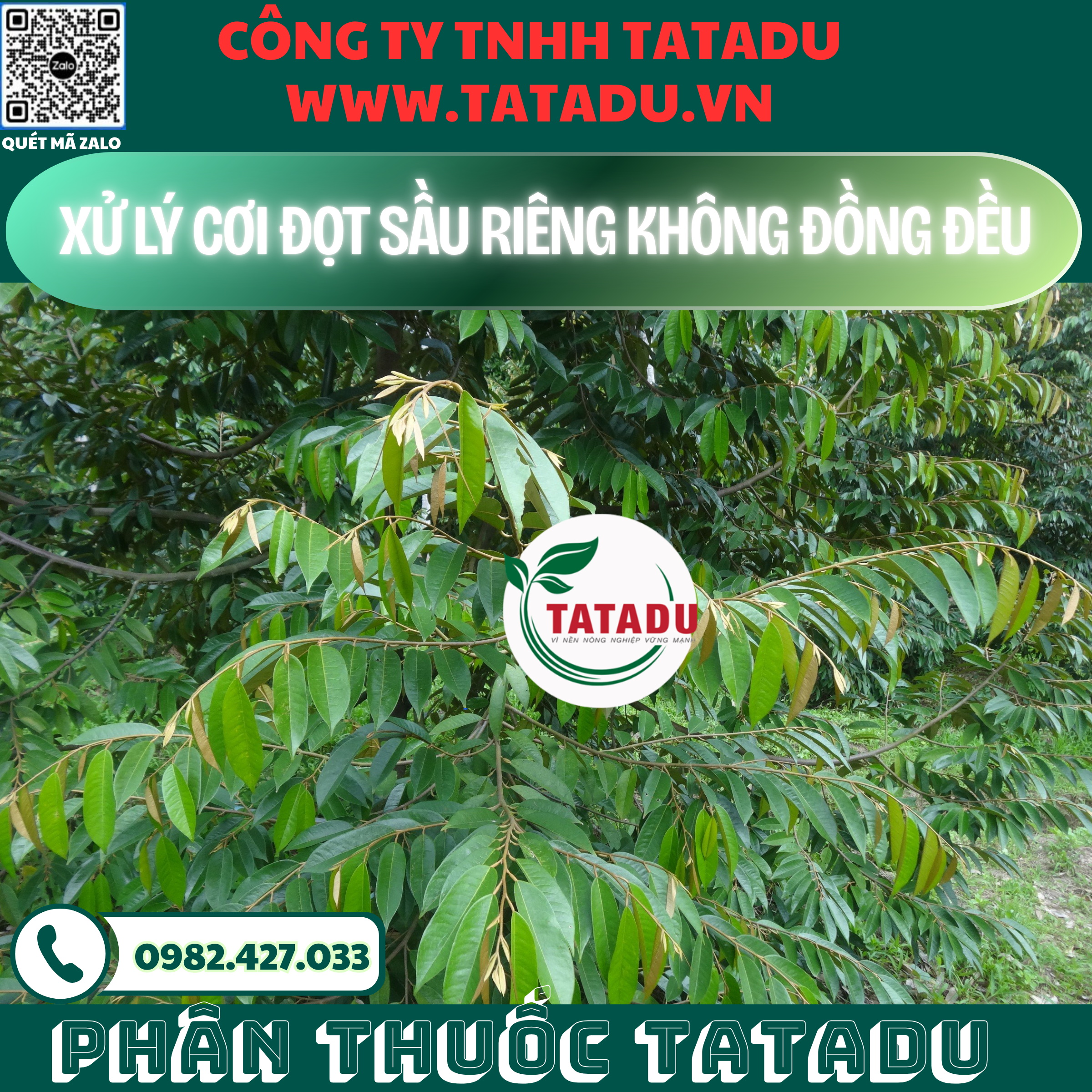 XU LY COI DOT SAU RIENG KHONG DONG DEU