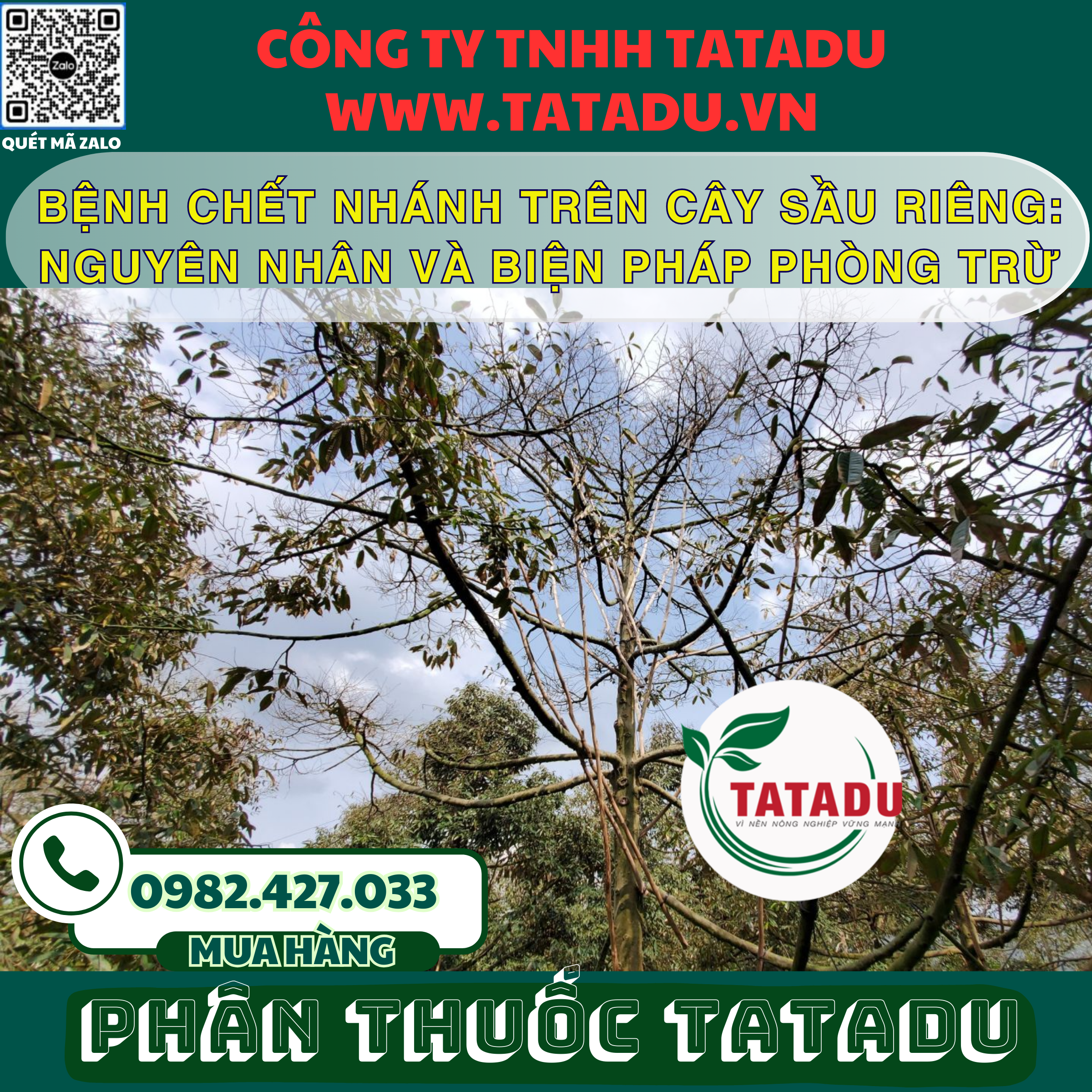 BENH CHET NHANH TREN CAY SAU RIENG NGUYEN NHAN VA BIEN PHAP PHONG TRU