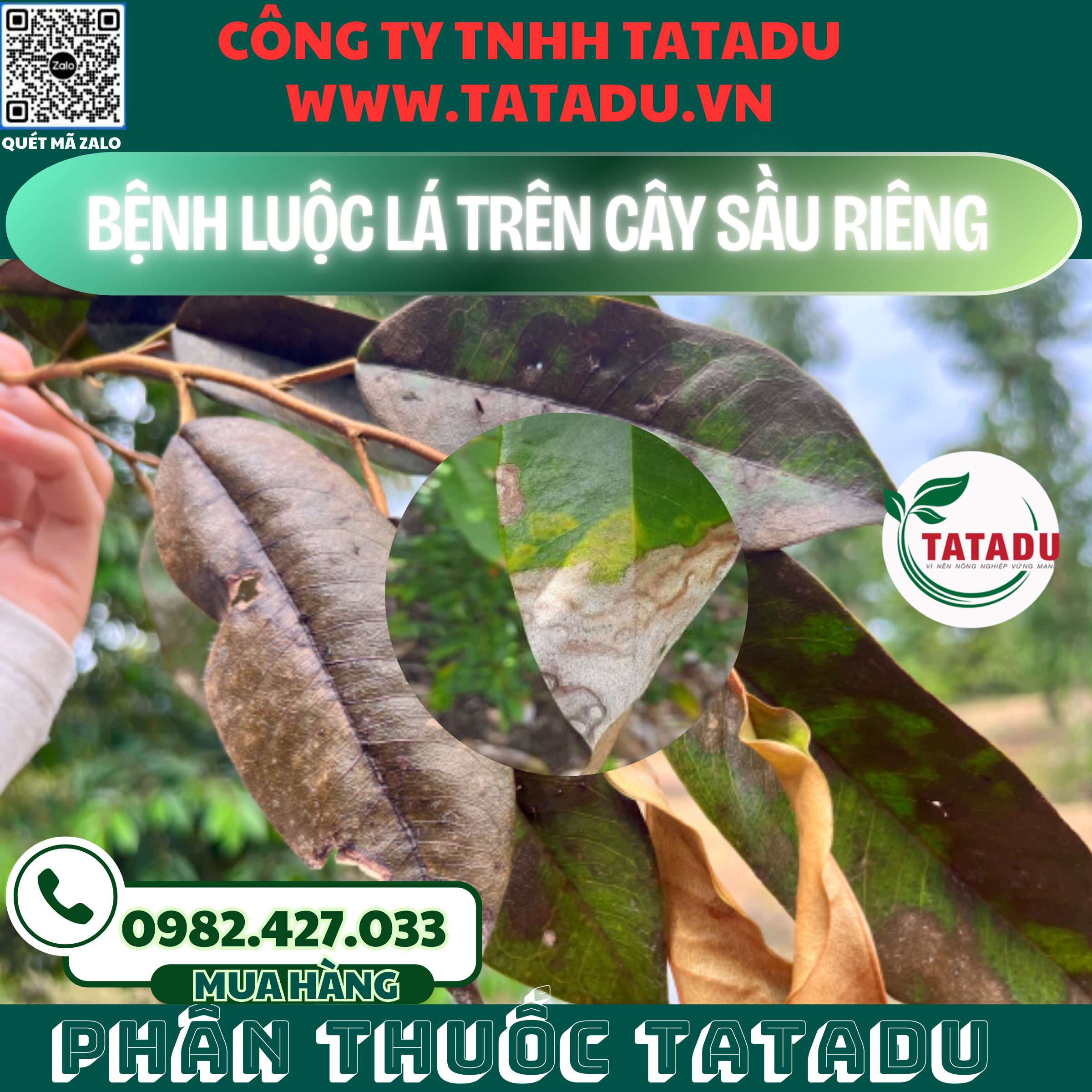 BENH LUOC LA TREN CAY SAU RIENG