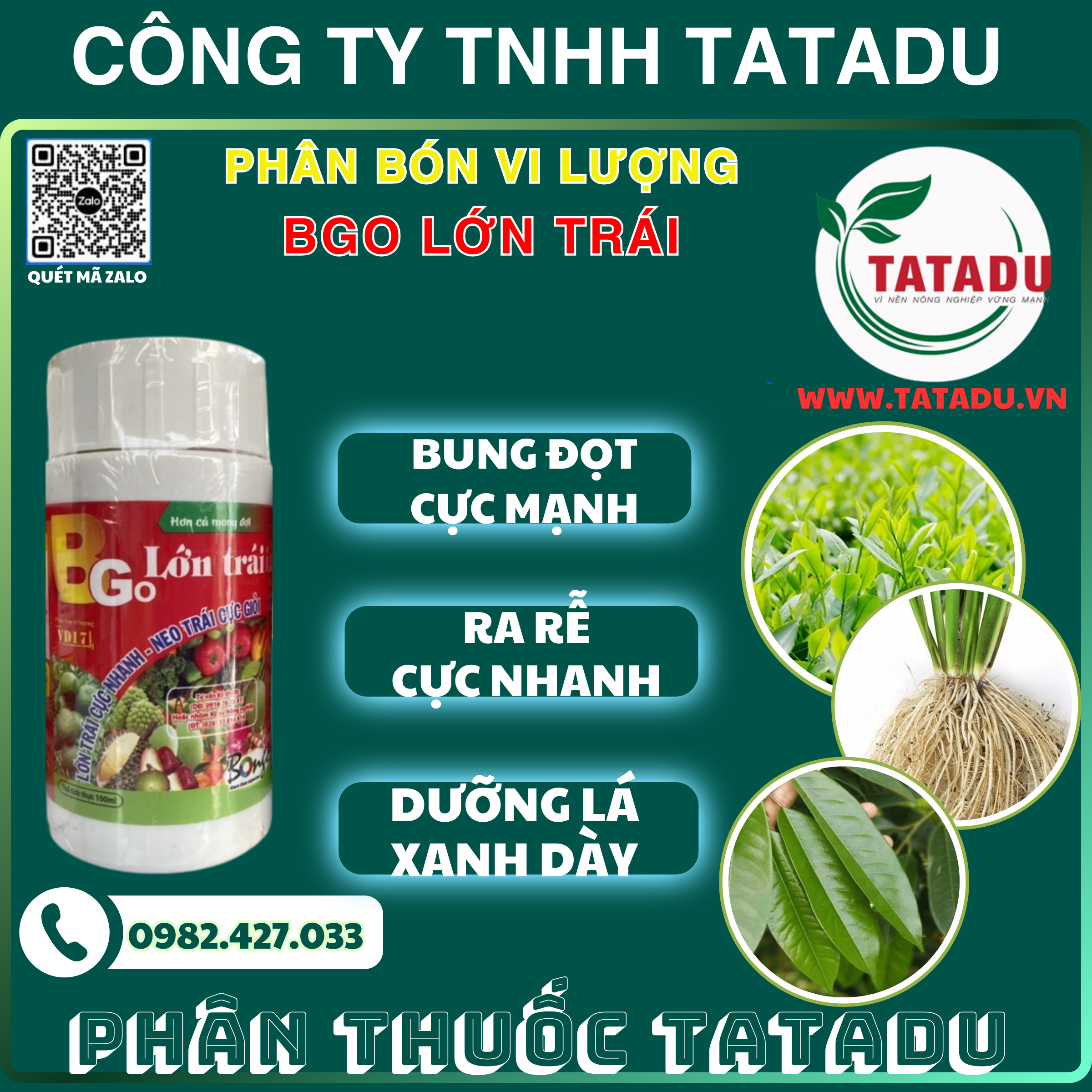 BGO LON TRAI GIUP BUNG DOT CUC MANH RA RE CUC NHANH DUONG LA XANH DAY BGO LON TRAI GIUP BUNG DOT CUC MANH RA RE CUC NHANH DUONG LA XANH DAY