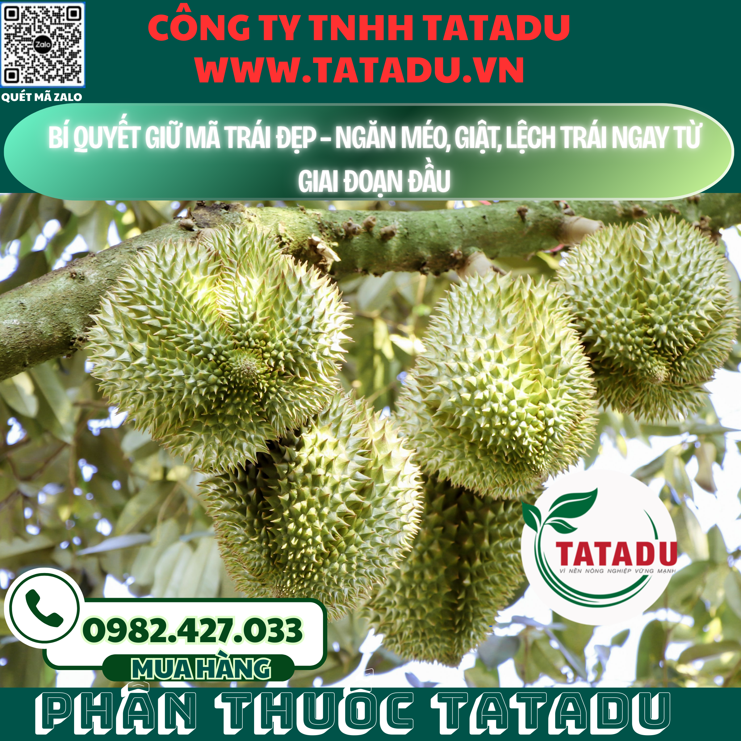 BI QUYET GIU MA TRAI DEP – NGAN MEO GIAT LECH TRAI NGAY TU GIAI DOAN DAU