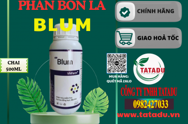 BÍ QUYẾT PHÂN HÓA MẦM HOA SẦU RIÊNG, KÍCH RA HOA ĐỒNG LOẠT VỚI PHÂN BÓN BLUM
