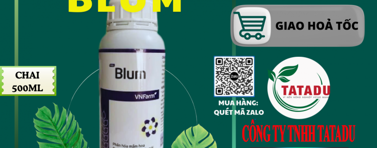 BLUM