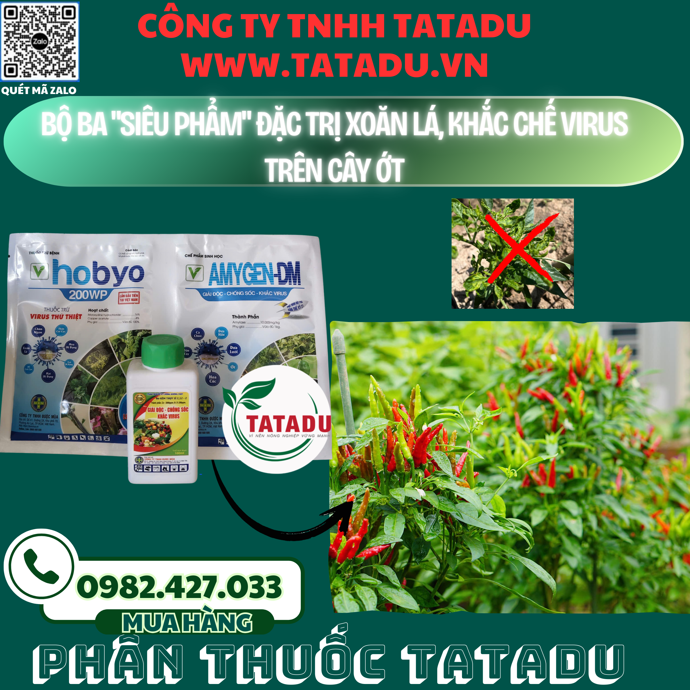 BO BA SIEU PHAM DAC TRI XOAN LA KHAC CHE VIRUS TREN CAY OT