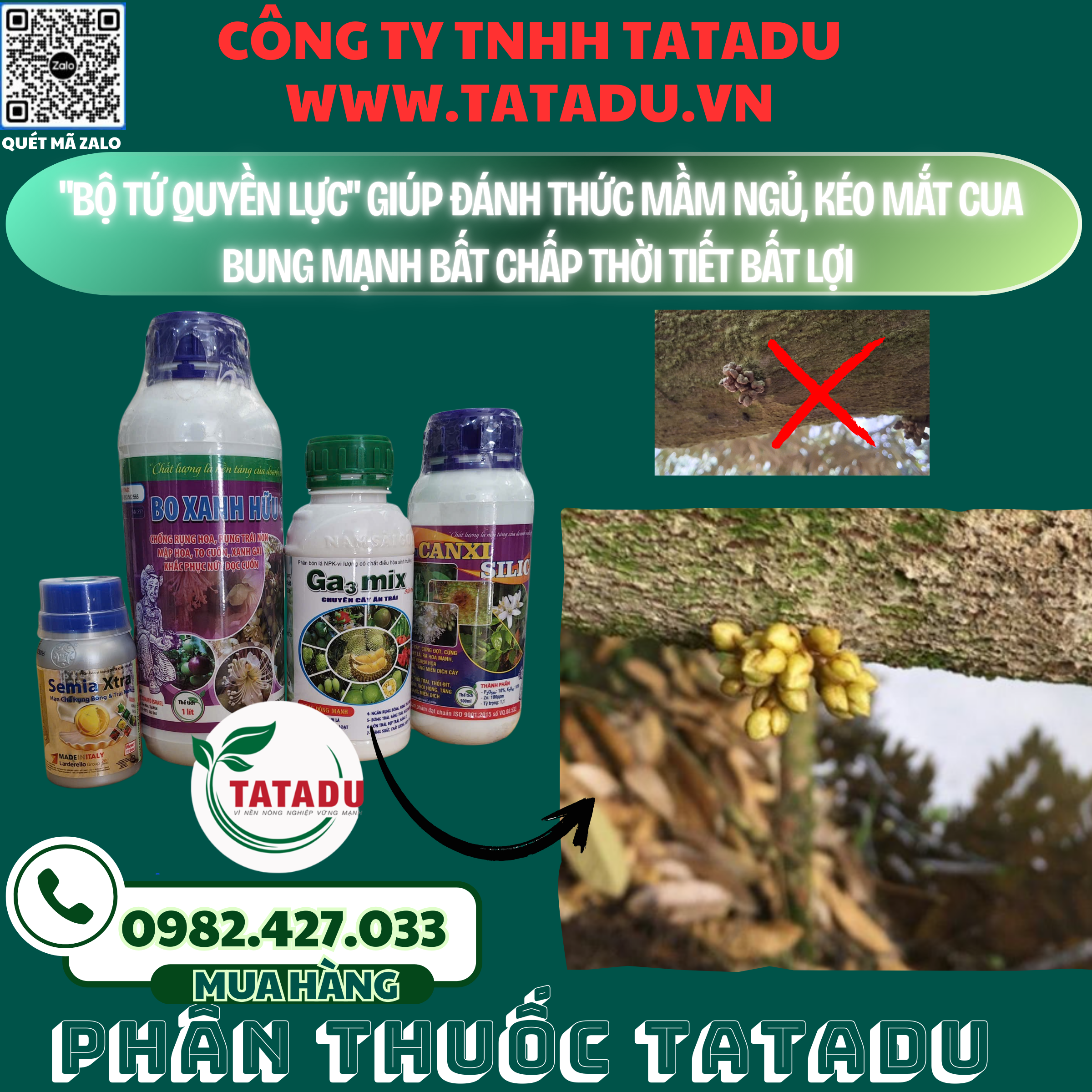 Bo Tu Quyen Luc giup danh thuc mam ngu keo mat cua bung manh bat chap thoi tiet bat loi