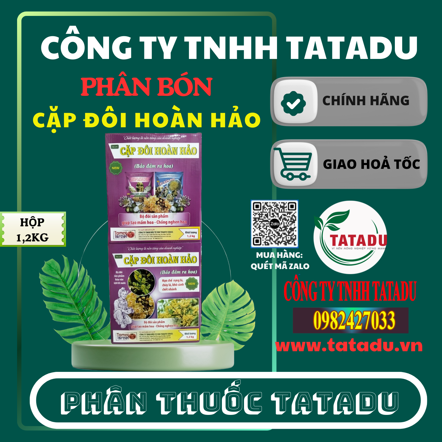 CAP DOI HOAN HAO TOMATO ISRAEL CAP DOI HOAN HAO TOMATO ISRAEL