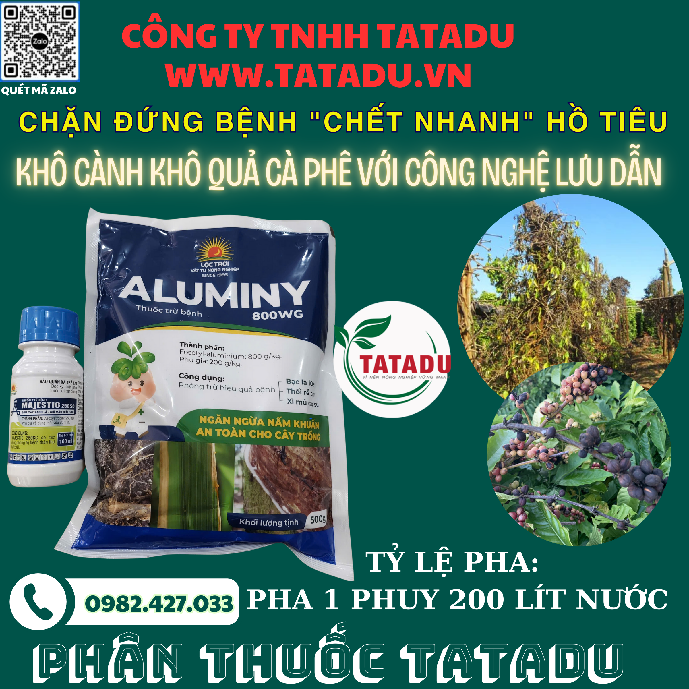 CHAN DUNG BENH CHET NHANH HO TIEU VA KHO CANH KHO QUA CA PHE CHAN DUNG BENH CHET NHANH HO TIEU VA KHO CANH KHO QUA CA PHE