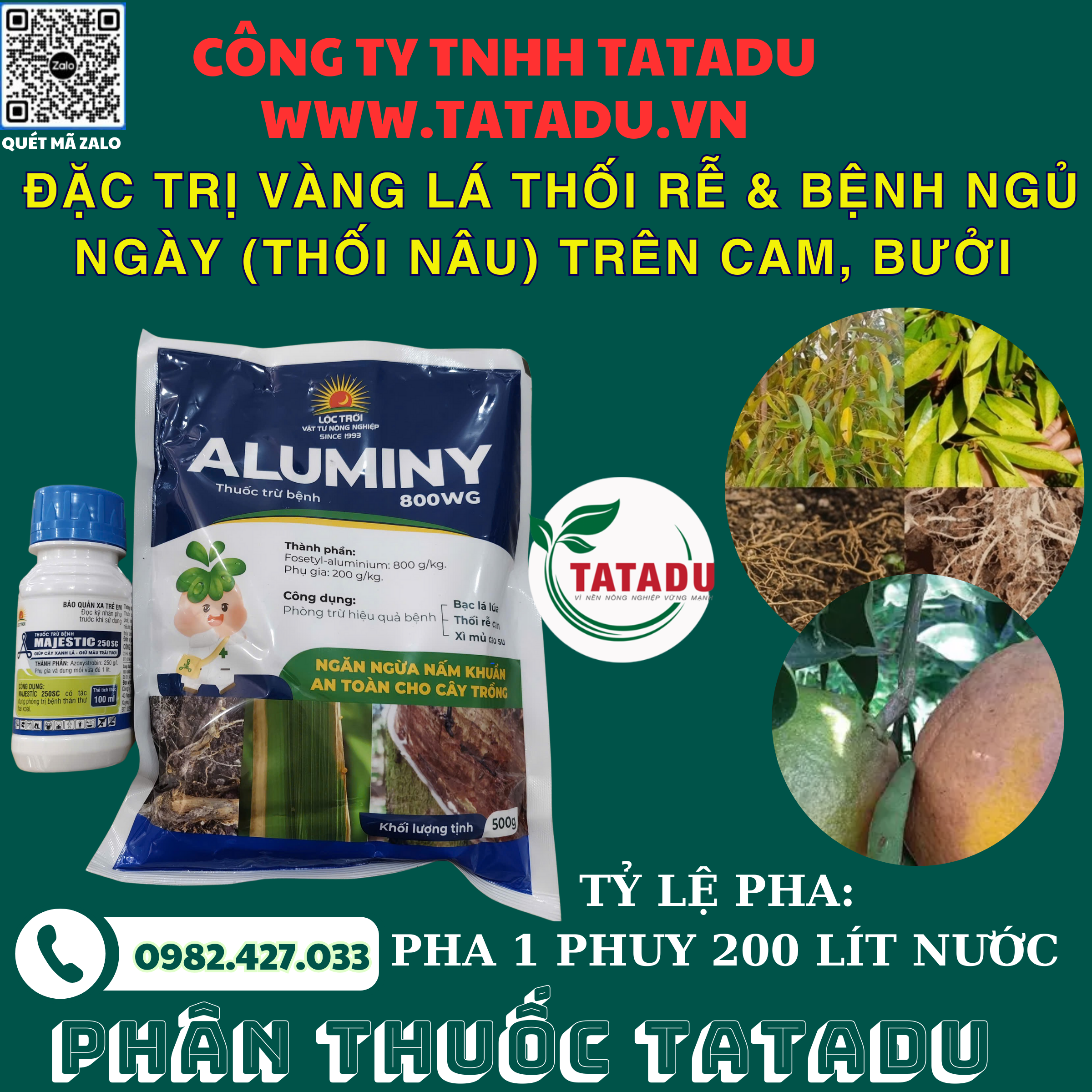 DAC TRI VANG LA THOI RE BENH NGU NGAY THOI NAU TREN CAM BUOI