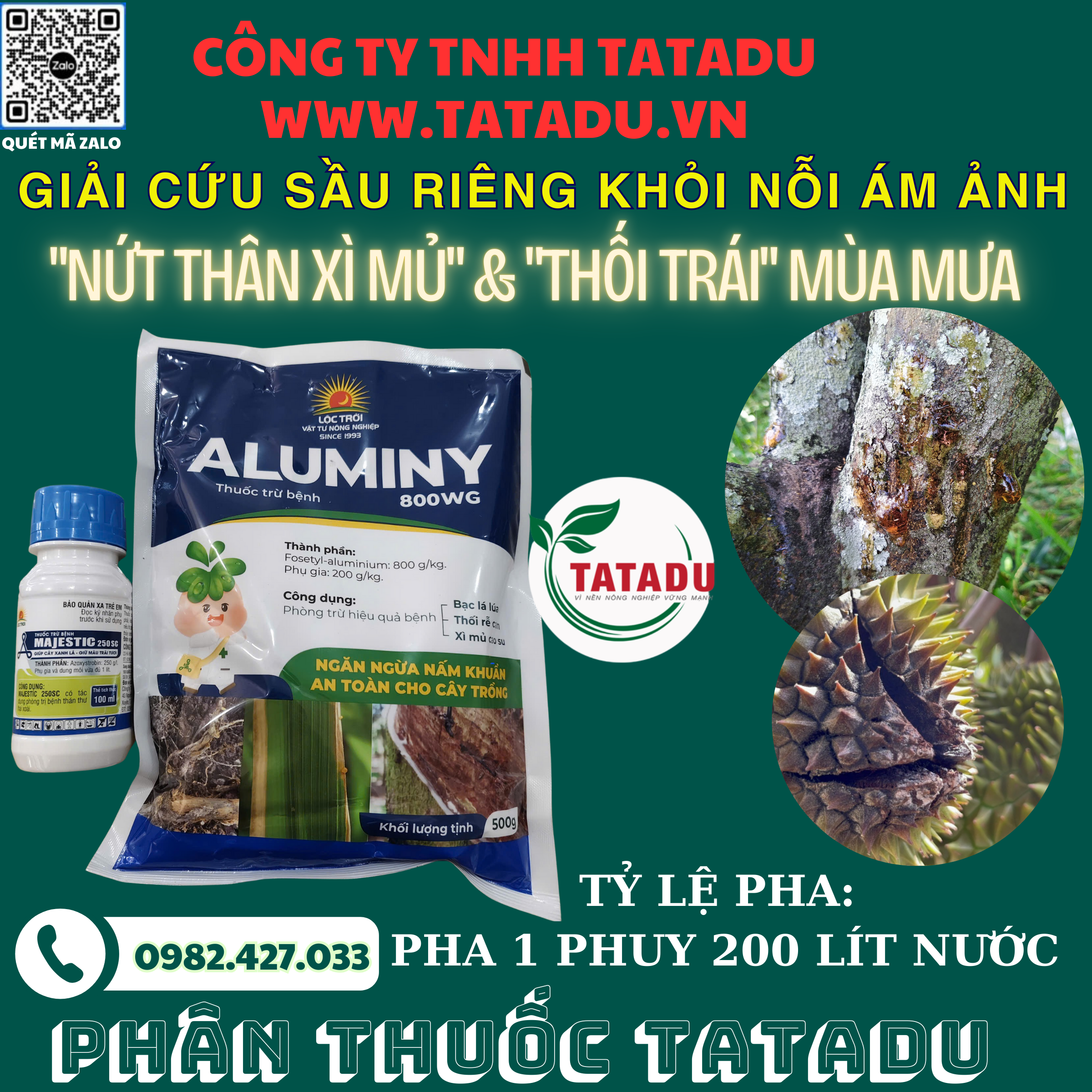 GIAI CUU SAU RIENG KHOI NOI AM ANH NUT THAN XI MU VA THOI TRAI MUA MUA