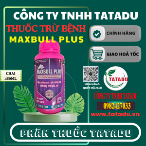 MAXBULL PLUS
