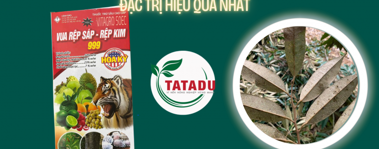 REP VAY REP SAP REP KIM TREN CAY SAU RIENG DA CO THUOC TRU SAU VITAGRO 50EC DAC TRI HIEU QUA NHAT