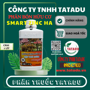SMART ZINC HA