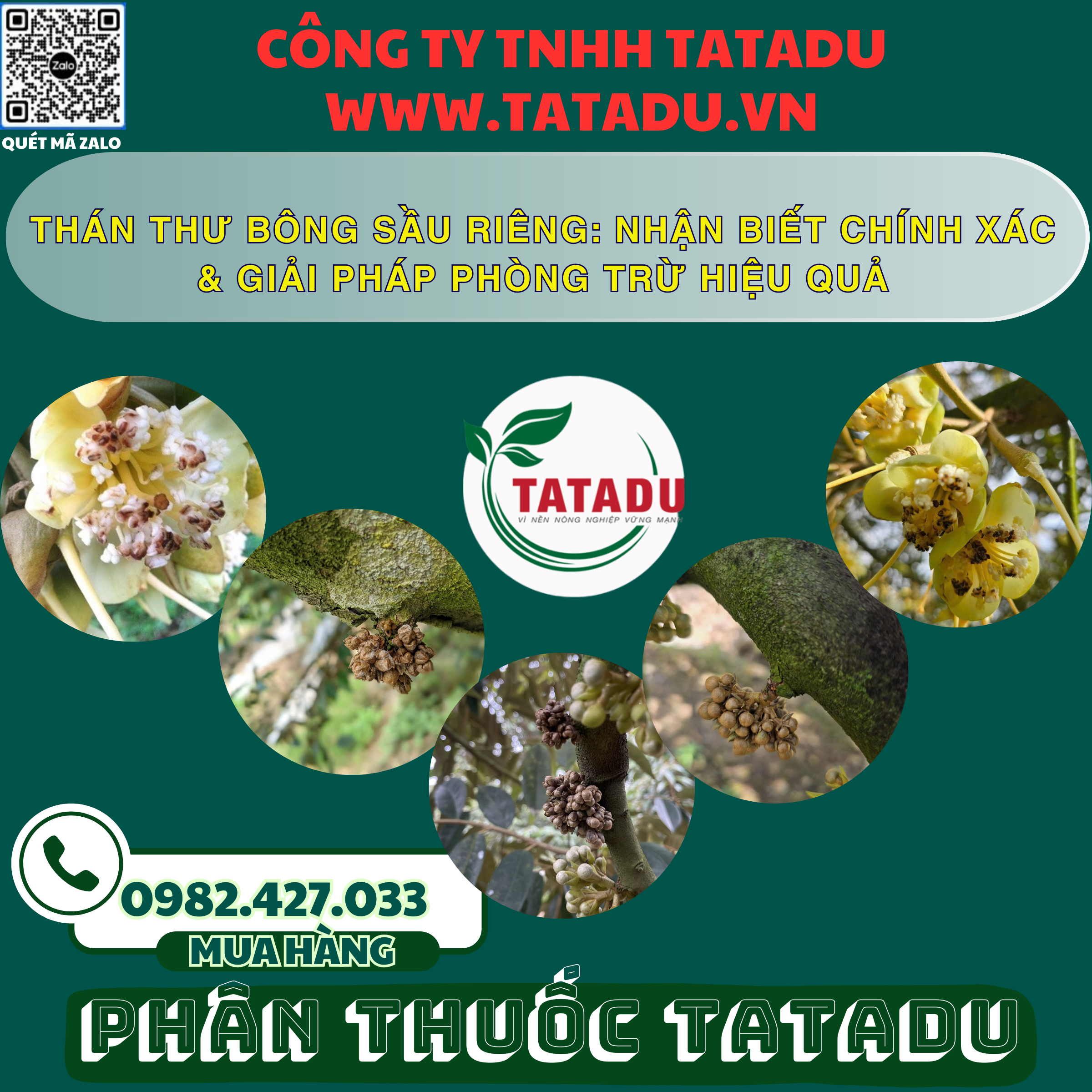 THAN THU BONG SAU RIENG NHAN BIET CHINH XAC GIAI PHAP PHONG TRU HIEU QUA