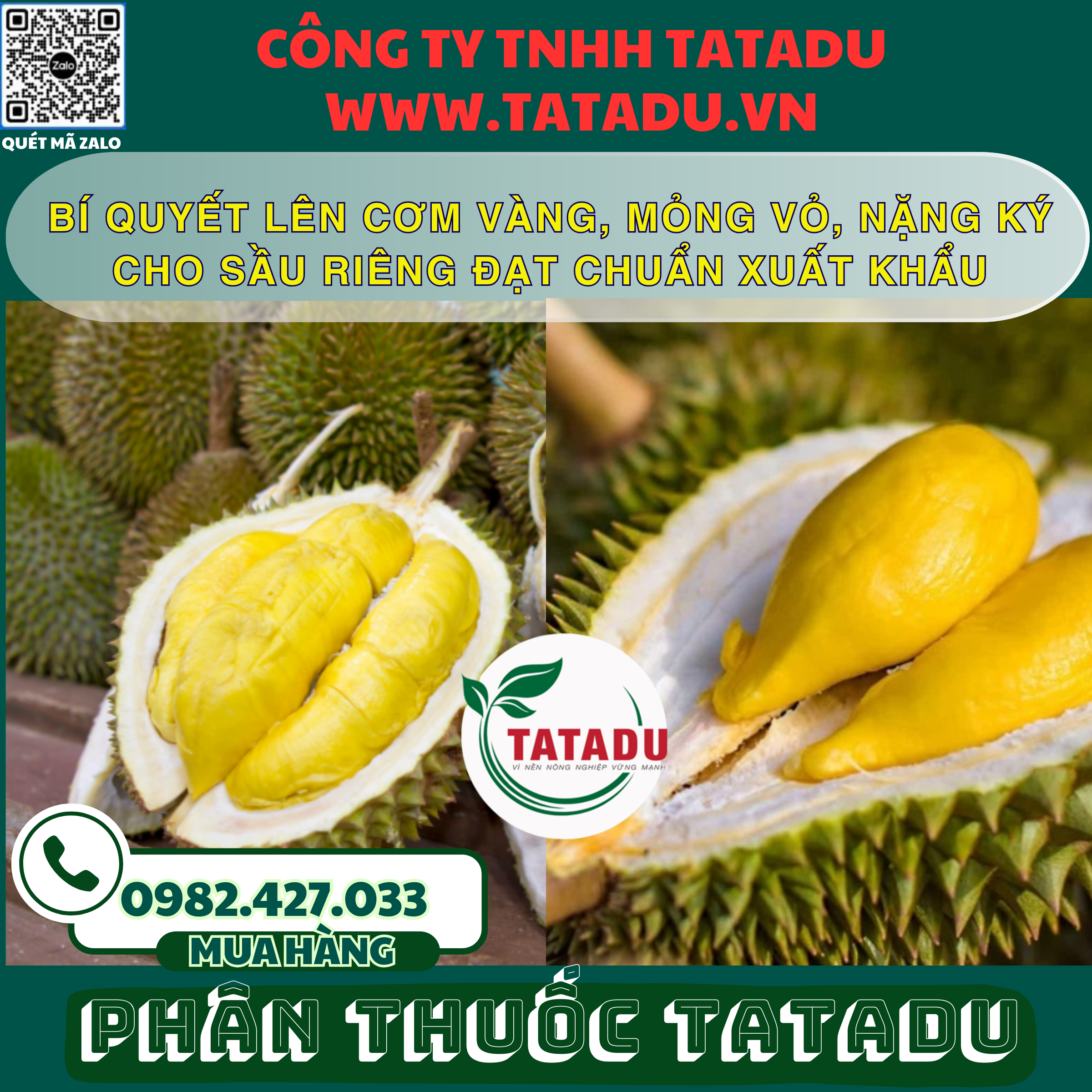 BI QUYET LEN COM VANG MONG VO NANG KY CHO SAU RIENG DAT CHUAN XUAT KHAU