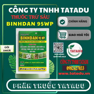 BINHDAN 95WP