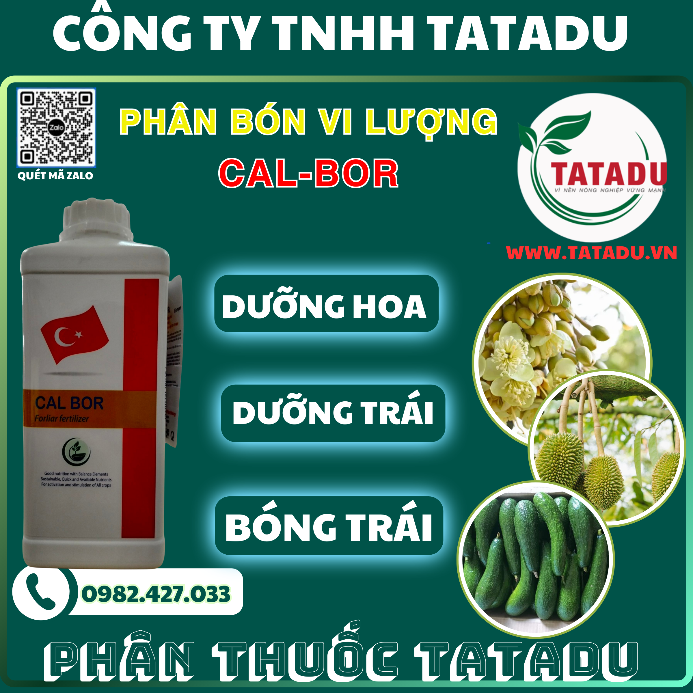 CAL BOR DUONG HOA DUONG TRAI BONG TRAI CAL BOR DUONG HOA DUONG TRAI BONG TRAI