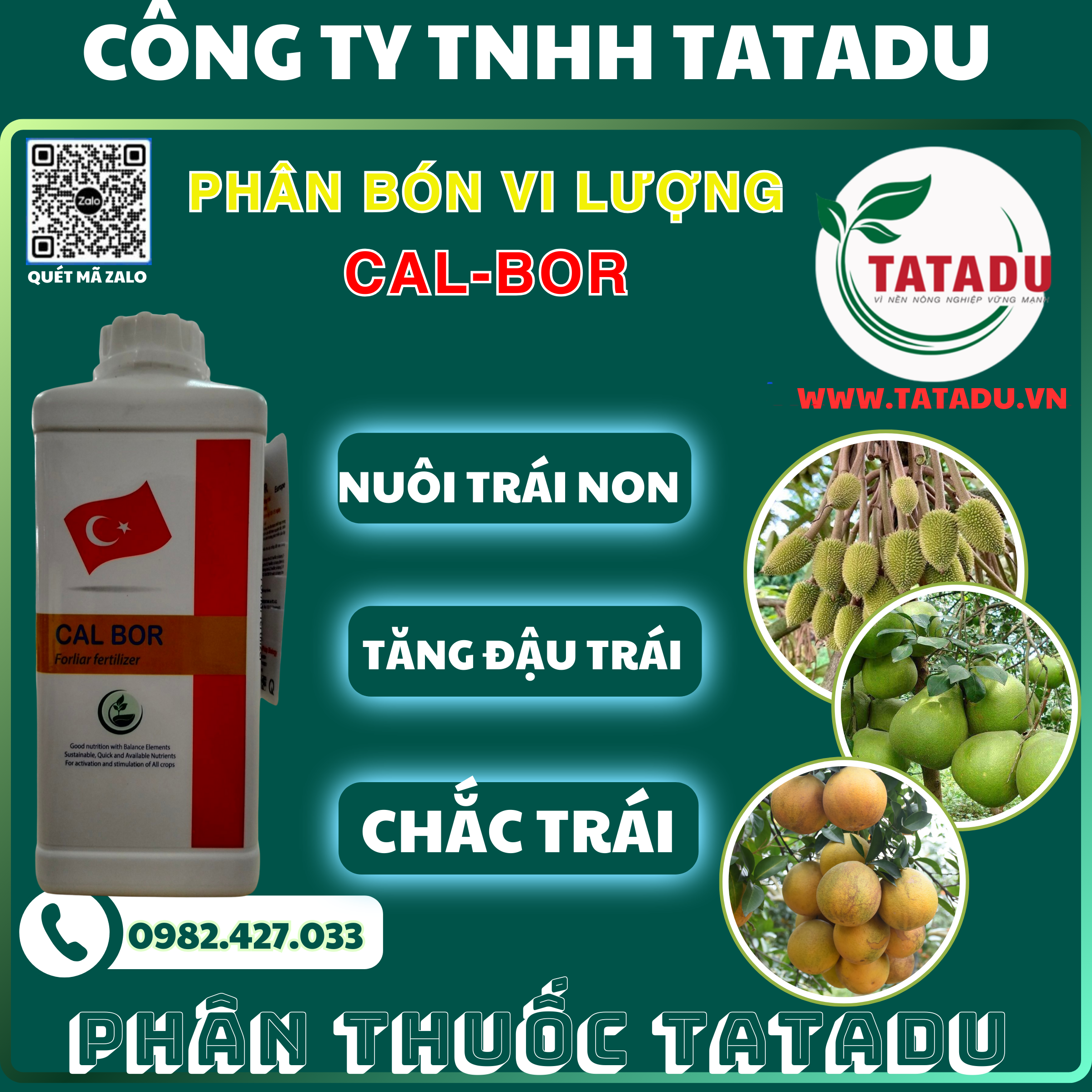 CAL BOR NUOI TRAI NON TANG DAU TRAI CHAC TRAI CAL BOR NUOI TRAI NON TANG DAU TRAI CHAC TRAI