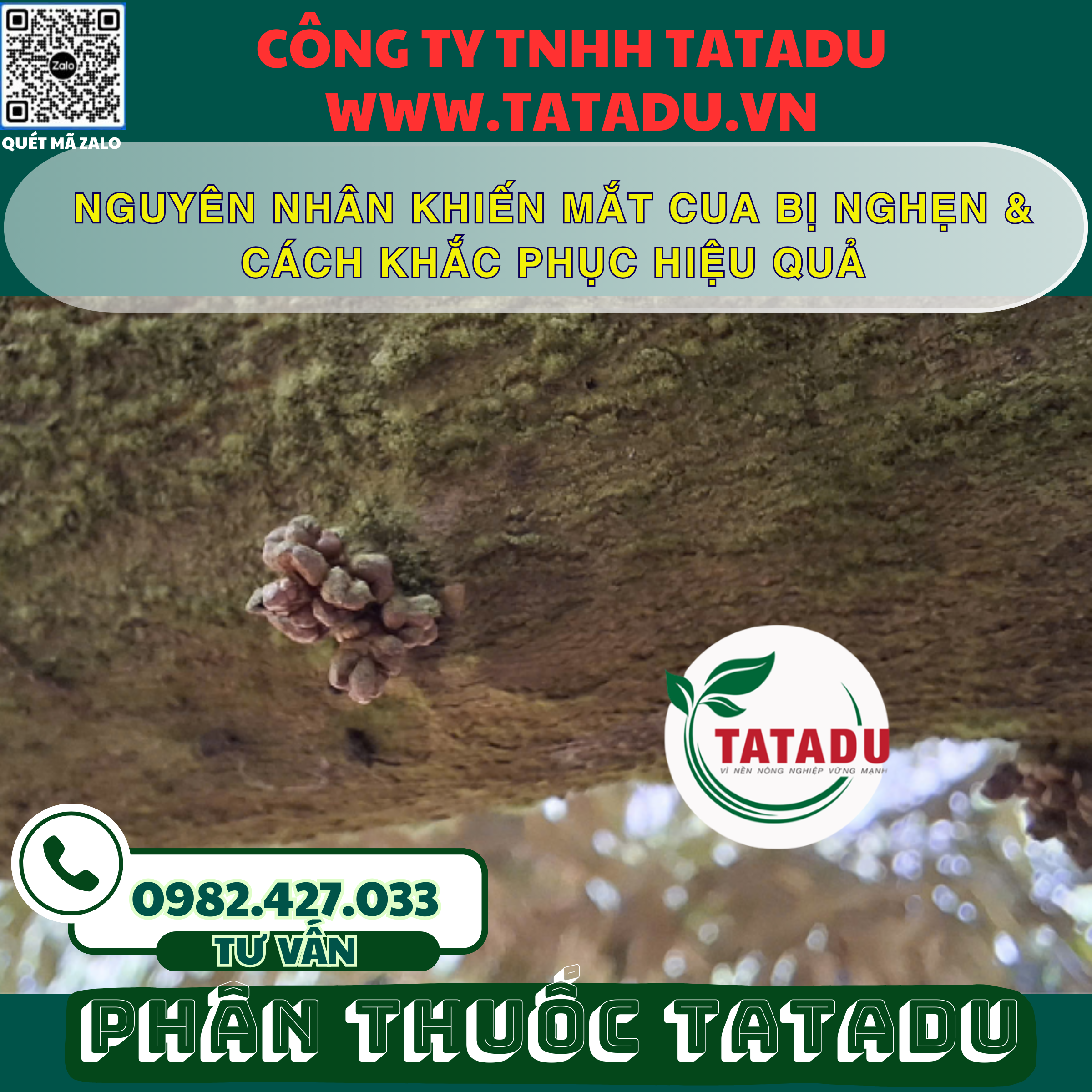 NGUYEN NHAN KHIEN MAT CUA BI NGHEN CACH KHAC PHUC HIEU QUA