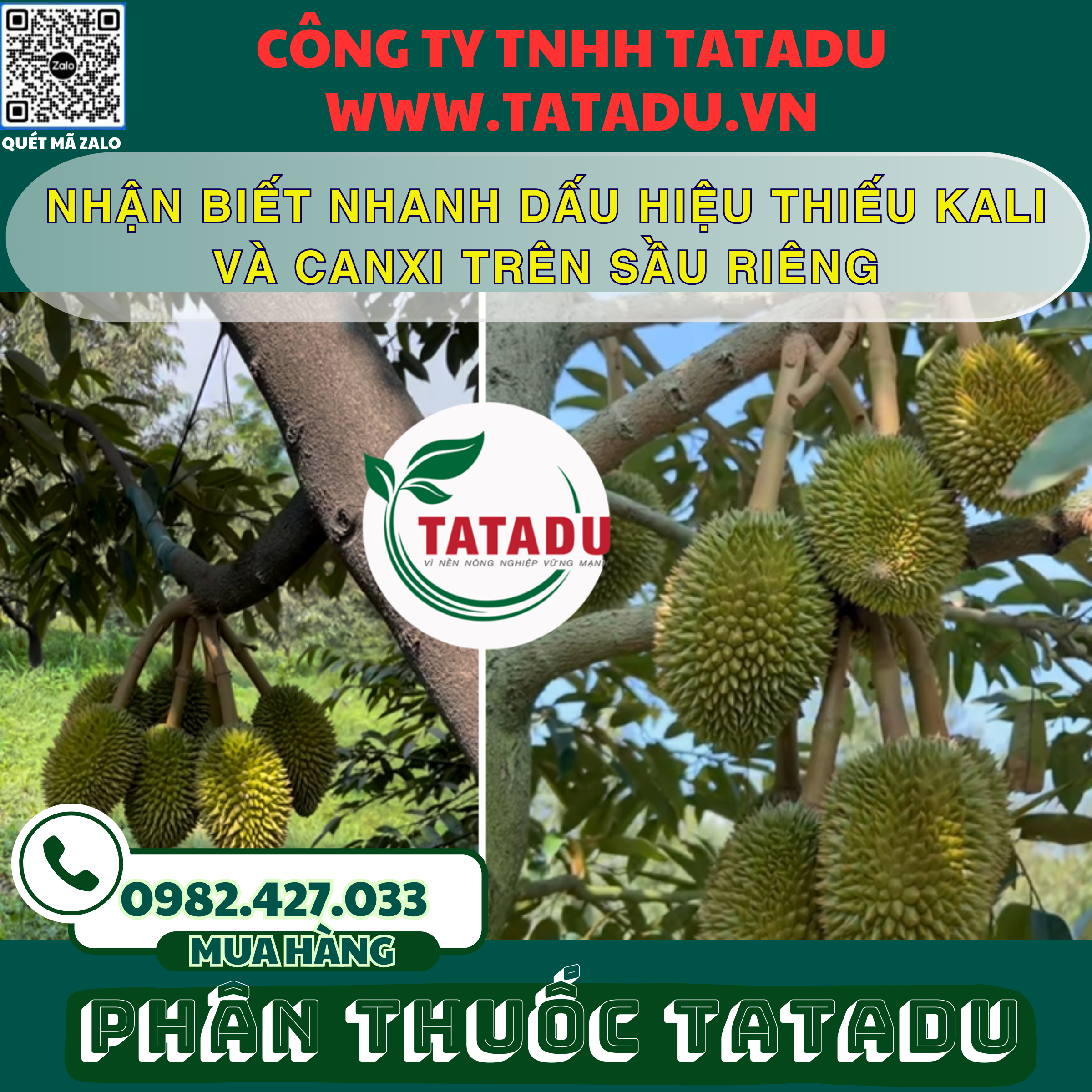 NHAN BIET NHANH DAU HIEU THIEU KALI VA CANXI TREN SAU RIENG