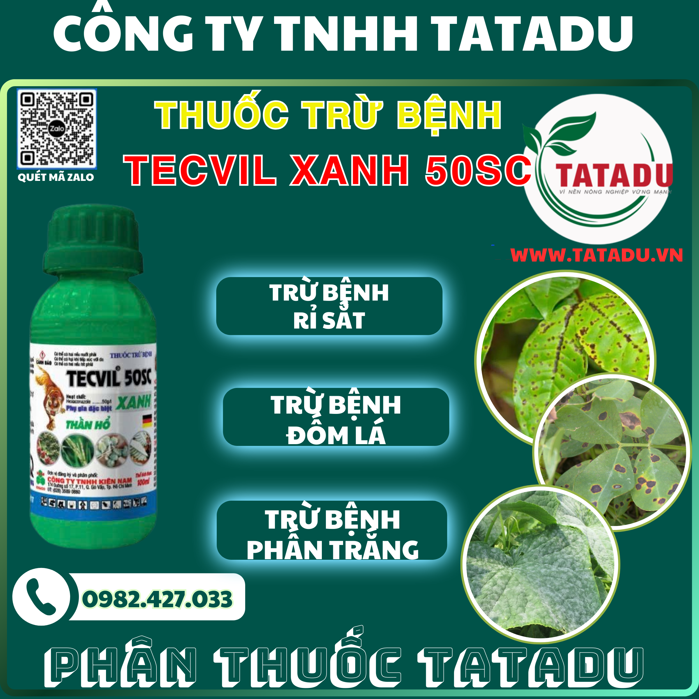 TECVIL XANH 50SC TRU BENH RI SAT DOM LA PHAN TRANG TECVIL XANH 50SC TRU BENH RI SAT DOM LA PHAN TRANG