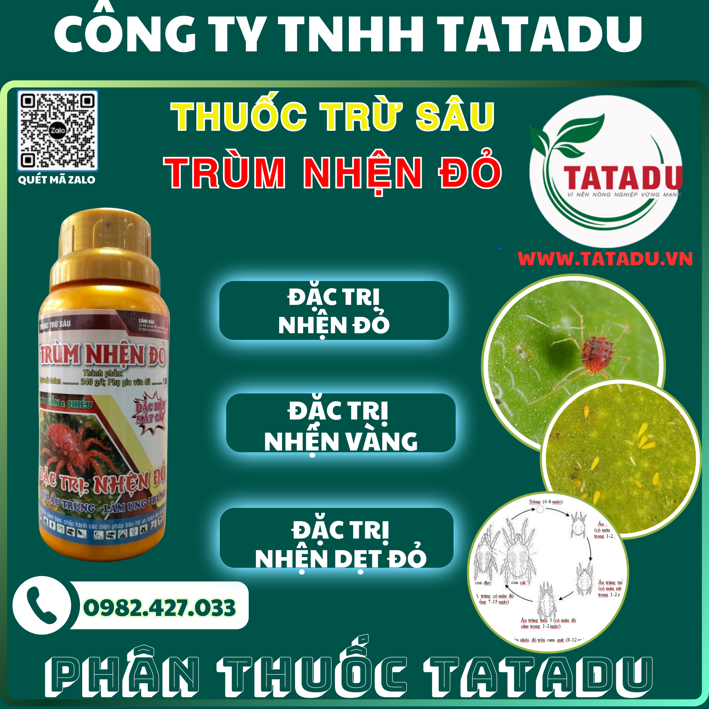TRUM NHEN DO DAC TRI NHEN DO NHEN VANG NHEN DET DO TRUM NHEN DO DAC TRI NHEN DO NHEN VANG NHEN DET DO