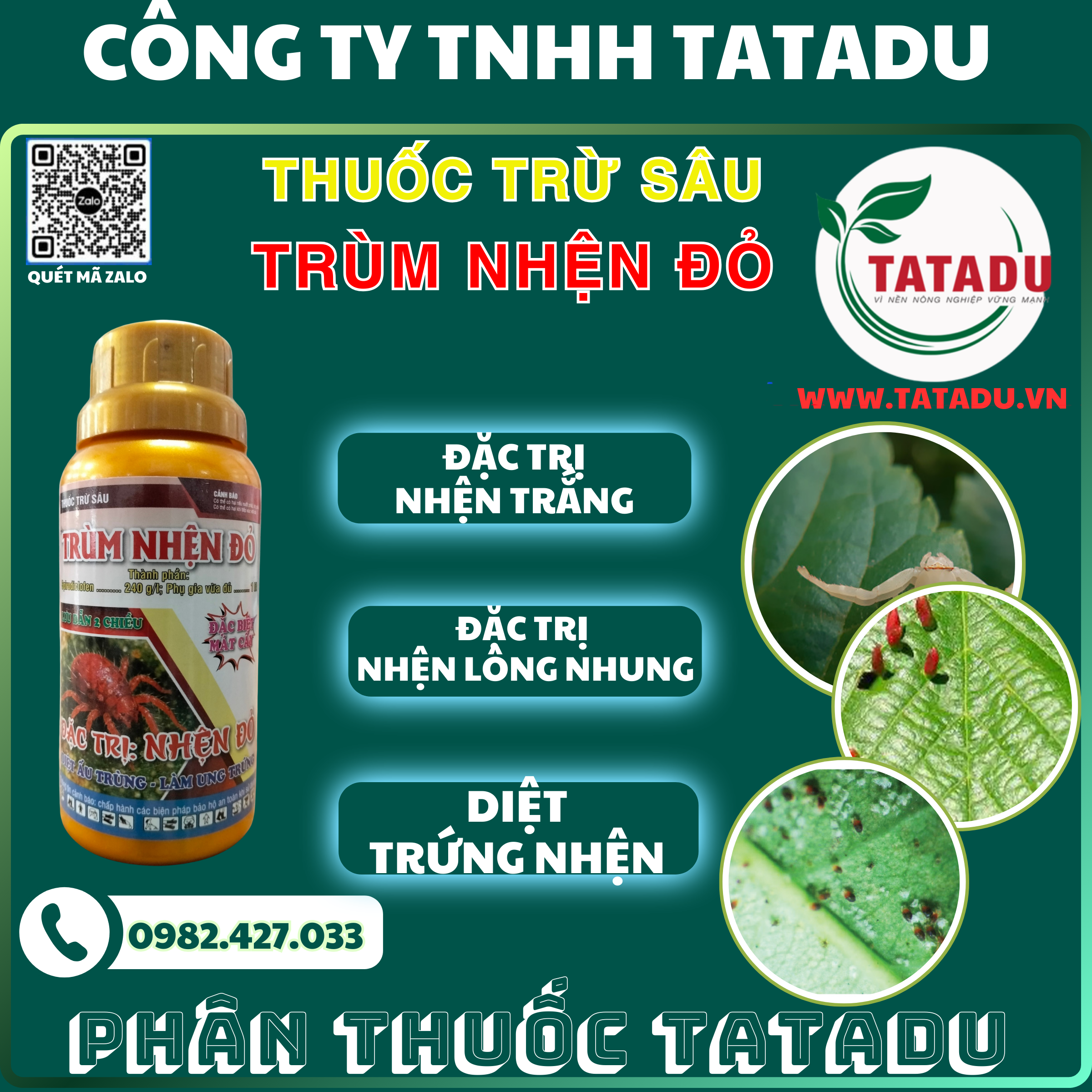 TRUM NHEN DO DAC TRI NHEN TRANG NHEN LONG NHUNG TRUNG NHEN TRUM NHEN DO DAC TRI NHEN TRANG NHEN LONG NHUNG TRUNG NHEN
