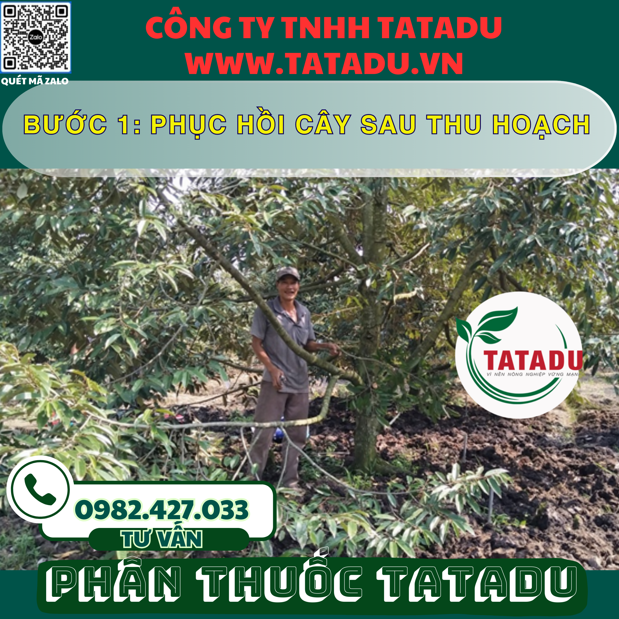 BUOC 1 PHUC HOI CAY SAU THU HOACH