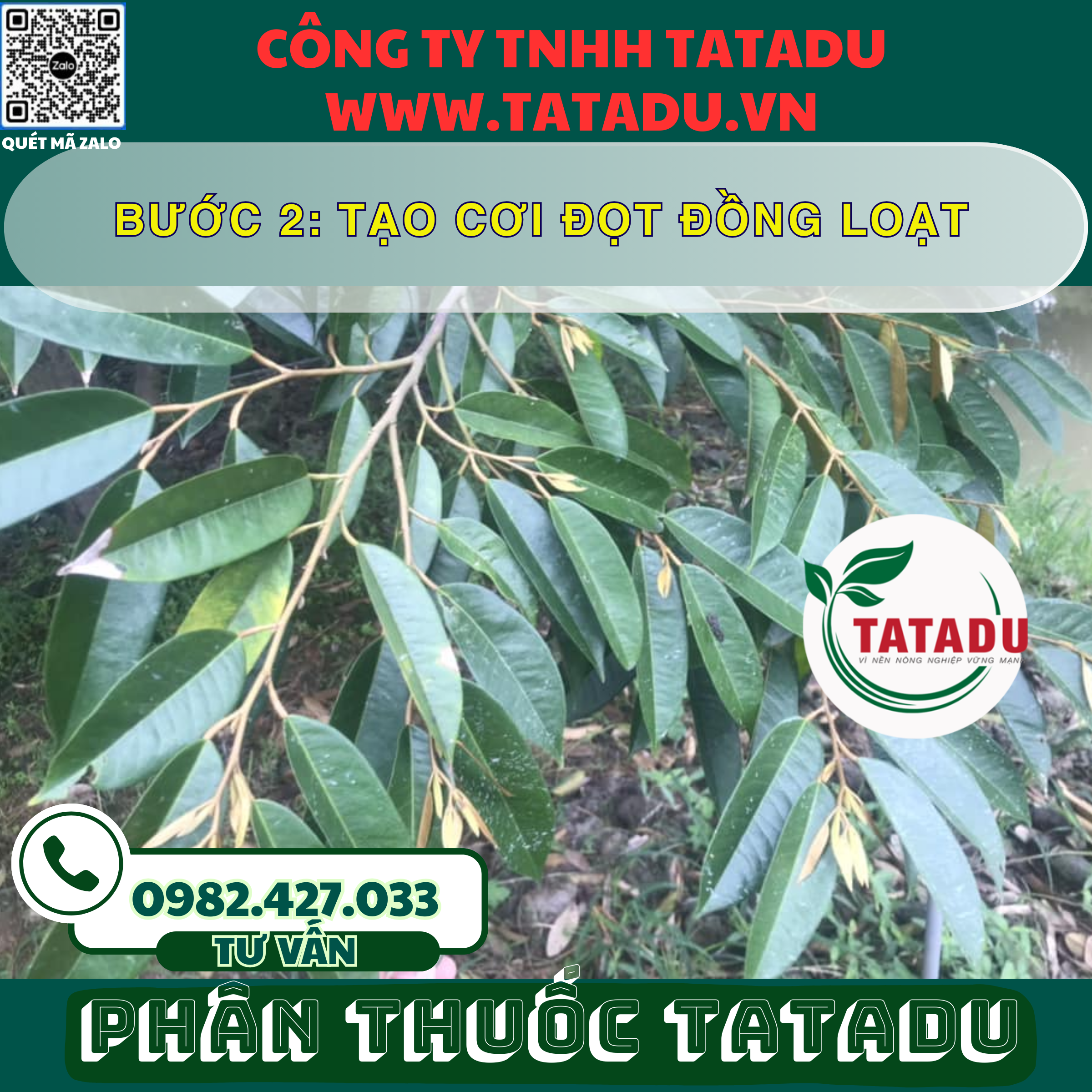 BUOC 2 TAO COI DOT DONG LOAT