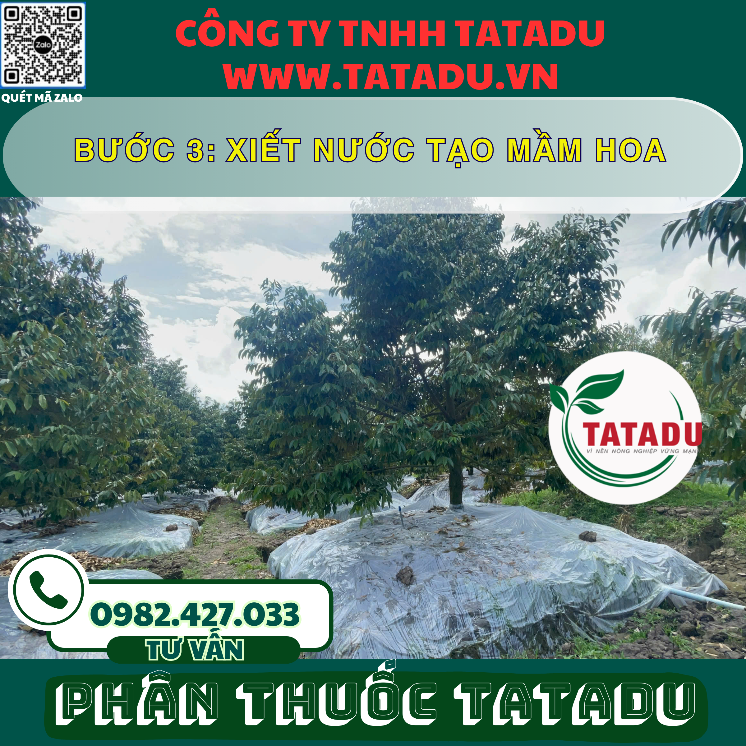 BUOC 3 XIET NUOC TAO MAM HOA