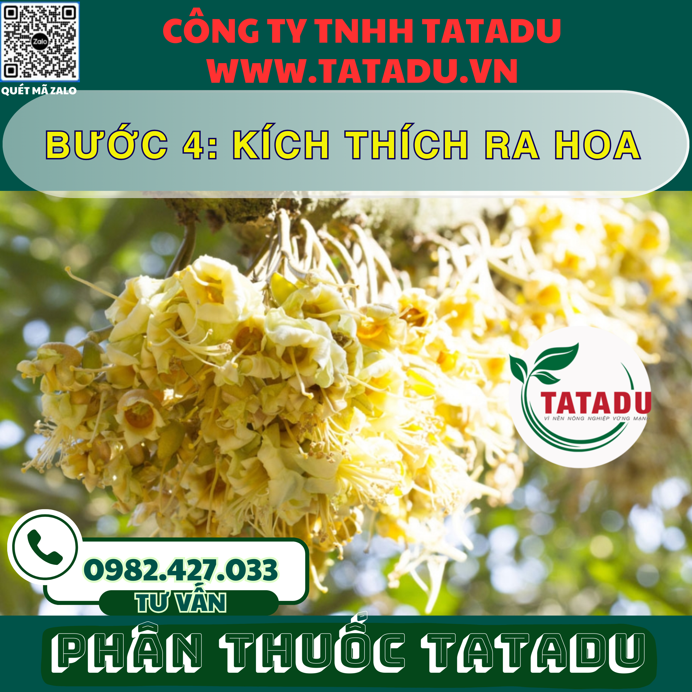 BUOC 4 KICH THICH RA HOA