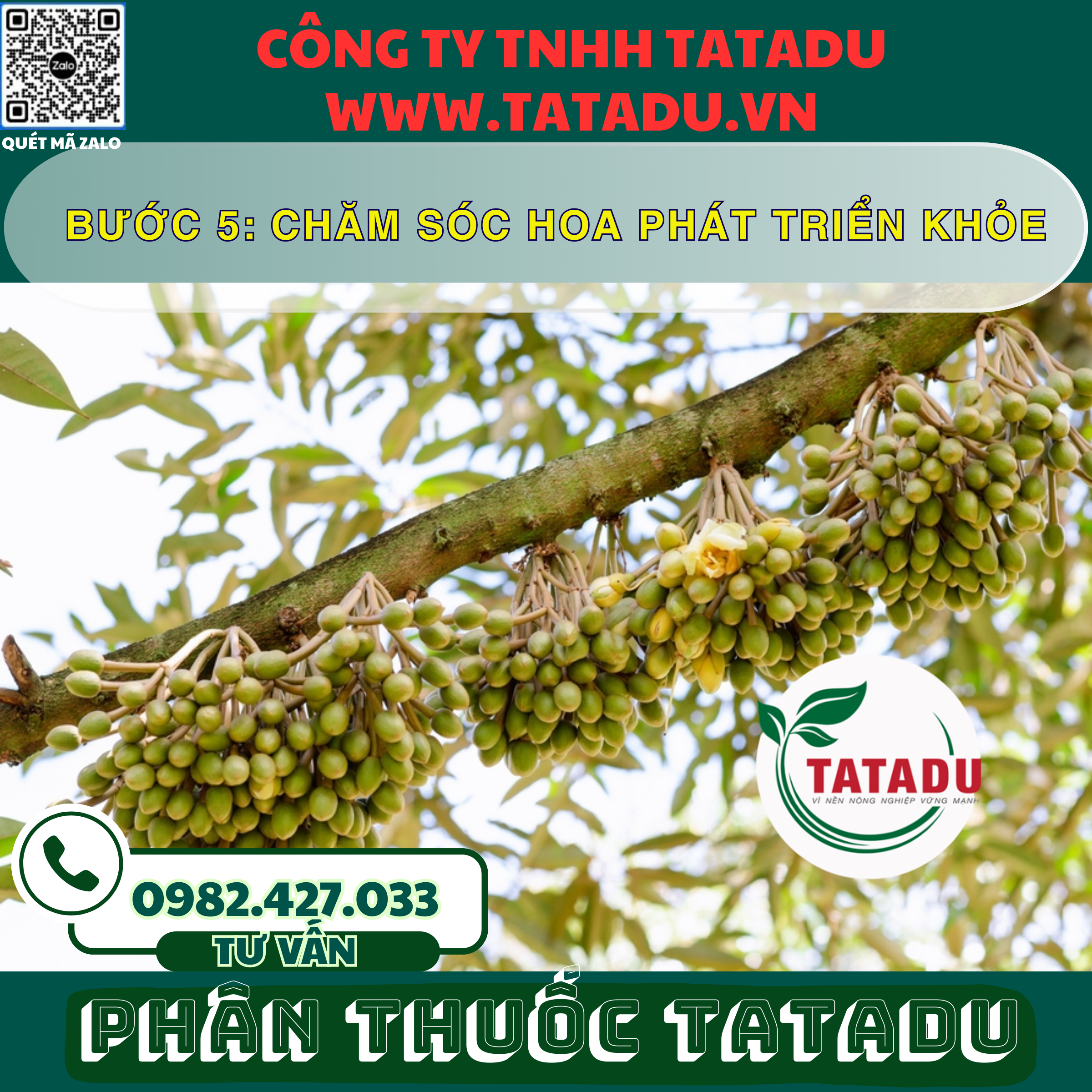 BUOC 5 CHAM SOC HOA PHAT TRIEN KHOE