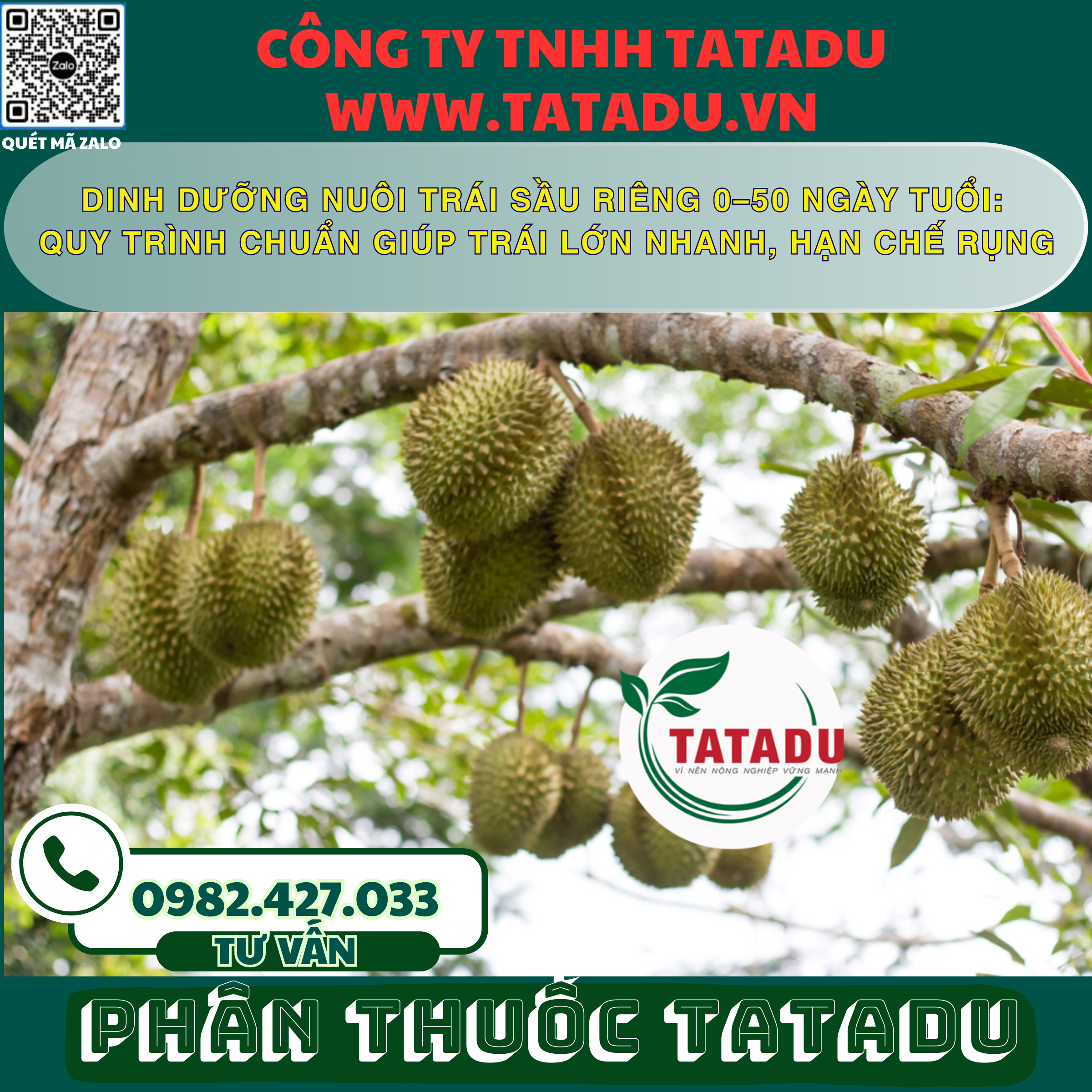 DINH DUONG NUOI TRAI SAU RIENG 0–50 NGAY TUOI QUY TRINH CHUAN GIUP TRAI LON NHANH HAN CHE RUNG