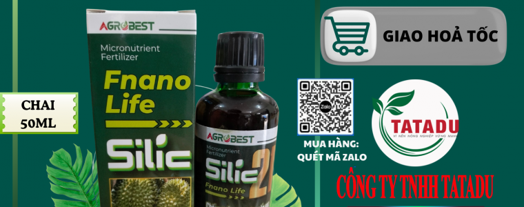 FNANO LIFE