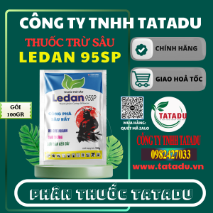 LEDAN 95SP QUATAR
