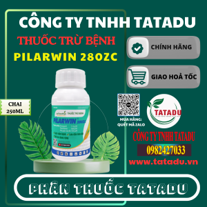 PILARWIN 280ZC