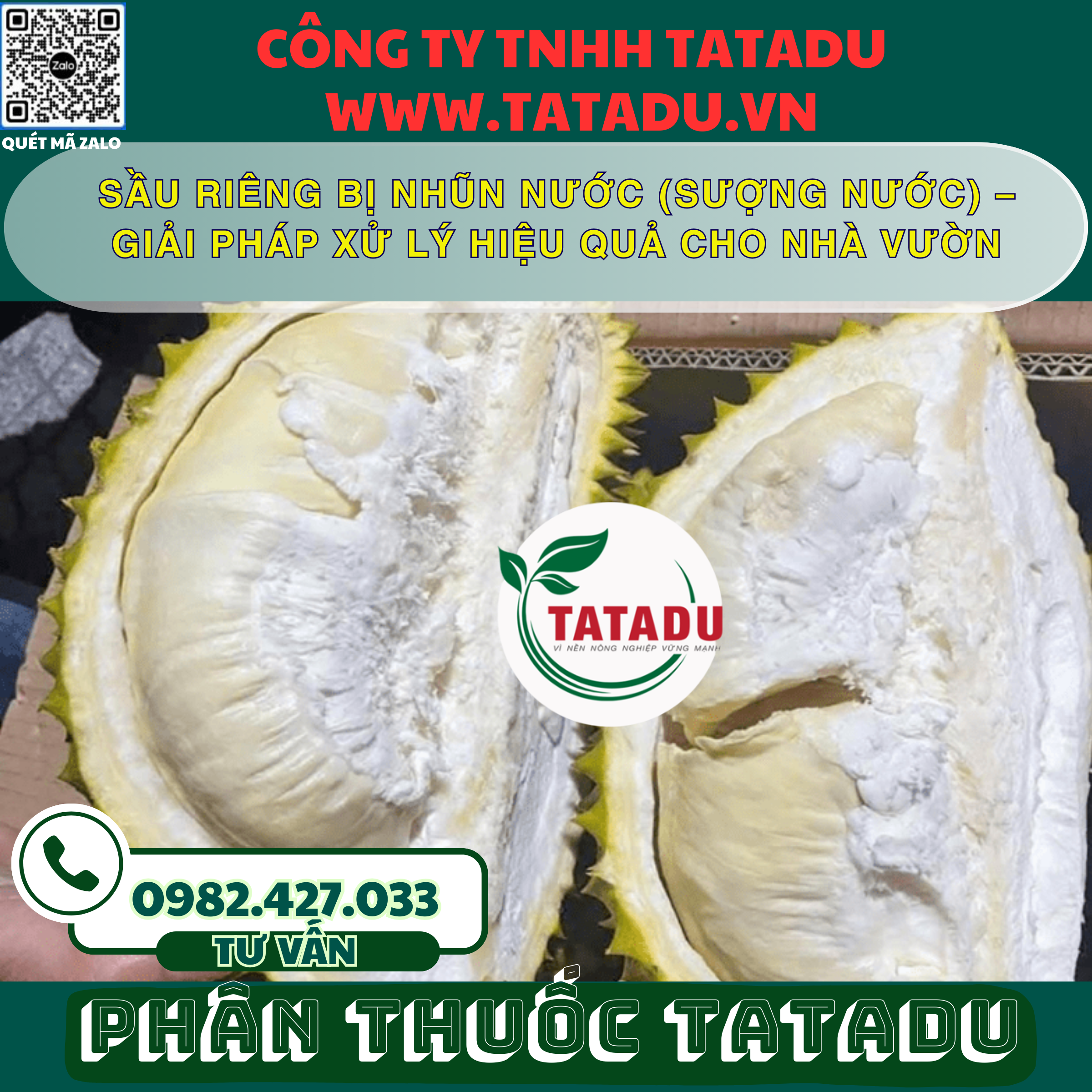 SAU RIENG BI NHUN NUOC SUONG NUOC – GIAI PHAP XU LY HIEU QUA CHO NHA VUON