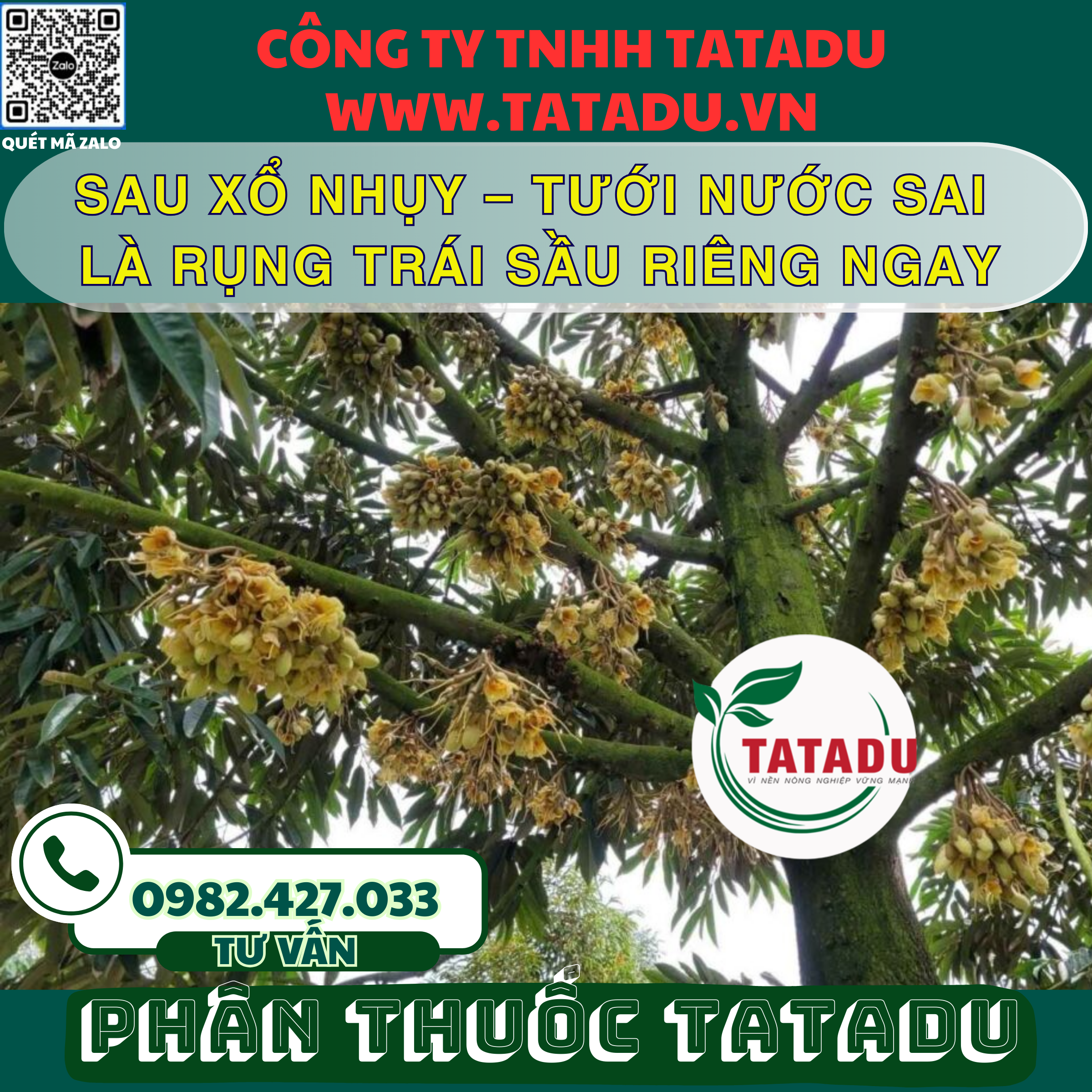 SAU XO NHUY – TUOI NUOC SAI LA RUNG TRAI SAU RIENG NGAY