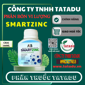 SMARTZINC